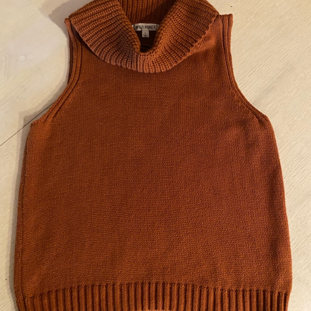 Wild Honey Terracotta Knit Cowl Neck Vest